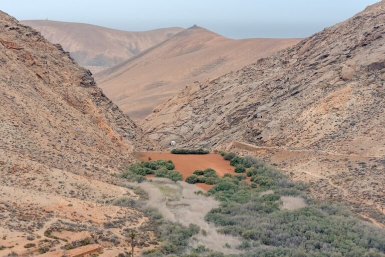 wadi lajab