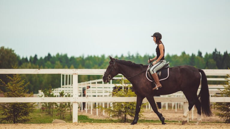 horse riding in Riyadh